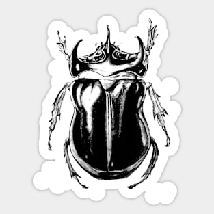 Beetle Sticker